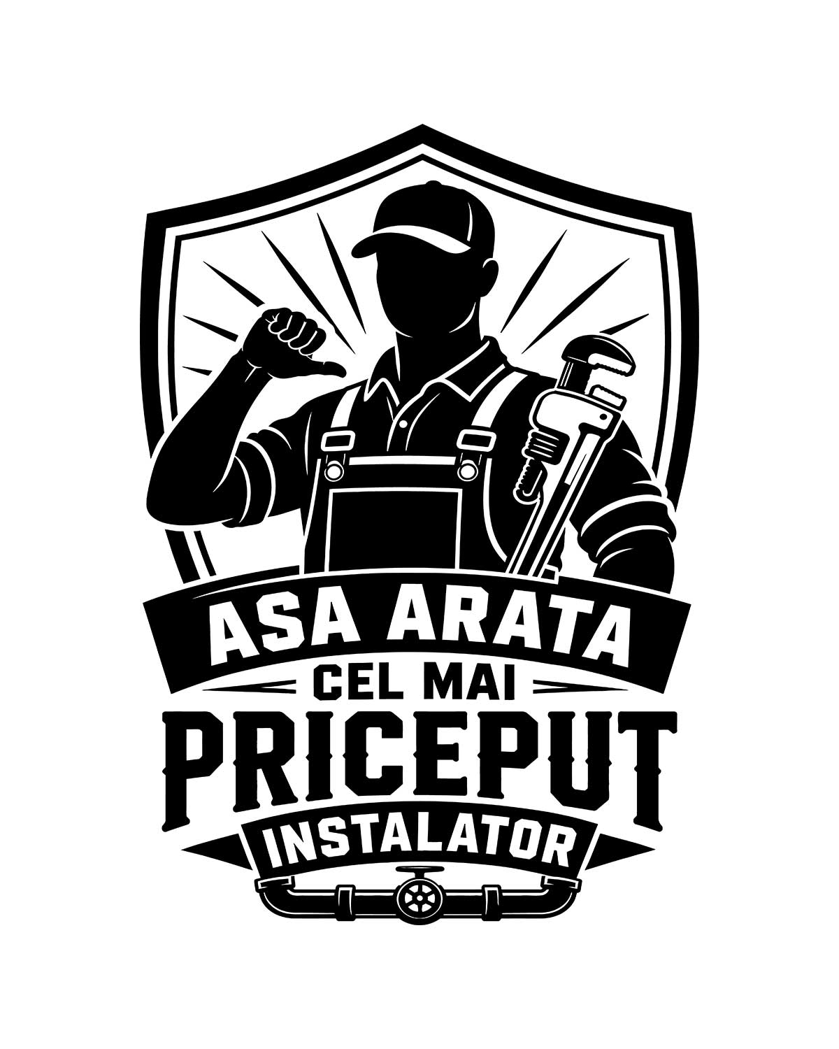 Cel mai priceput instalator