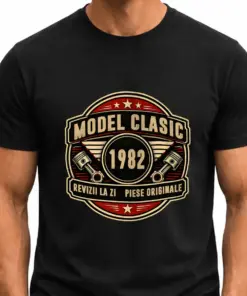 Model Clasic # AN NASTERE.... REVIZII LA SI SI PIESE ORIGINALE