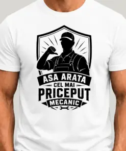 Asa arata cel mai priceput mecanic