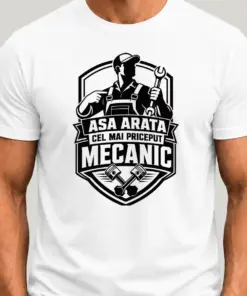 Asa arata cel mai priceput mecanic Nr.2