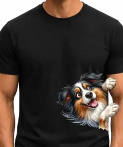 Australian Shepherd