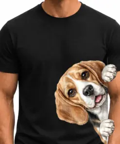 Beagle Nr.2